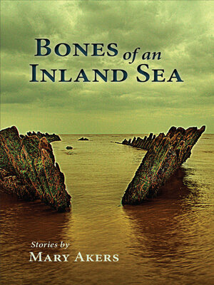 cover image of Bones of an Inland Sea (Book Club Edition)